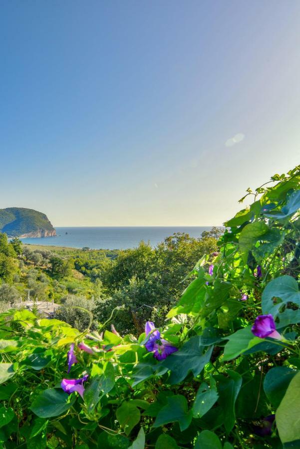 Petrovac Pataki Guesthouse מראה חיצוני תמונה
