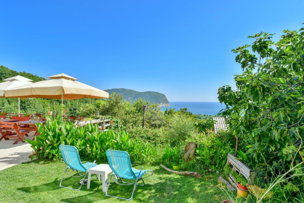 Petrovac Pataki Guesthouse מראה חיצוני תמונה