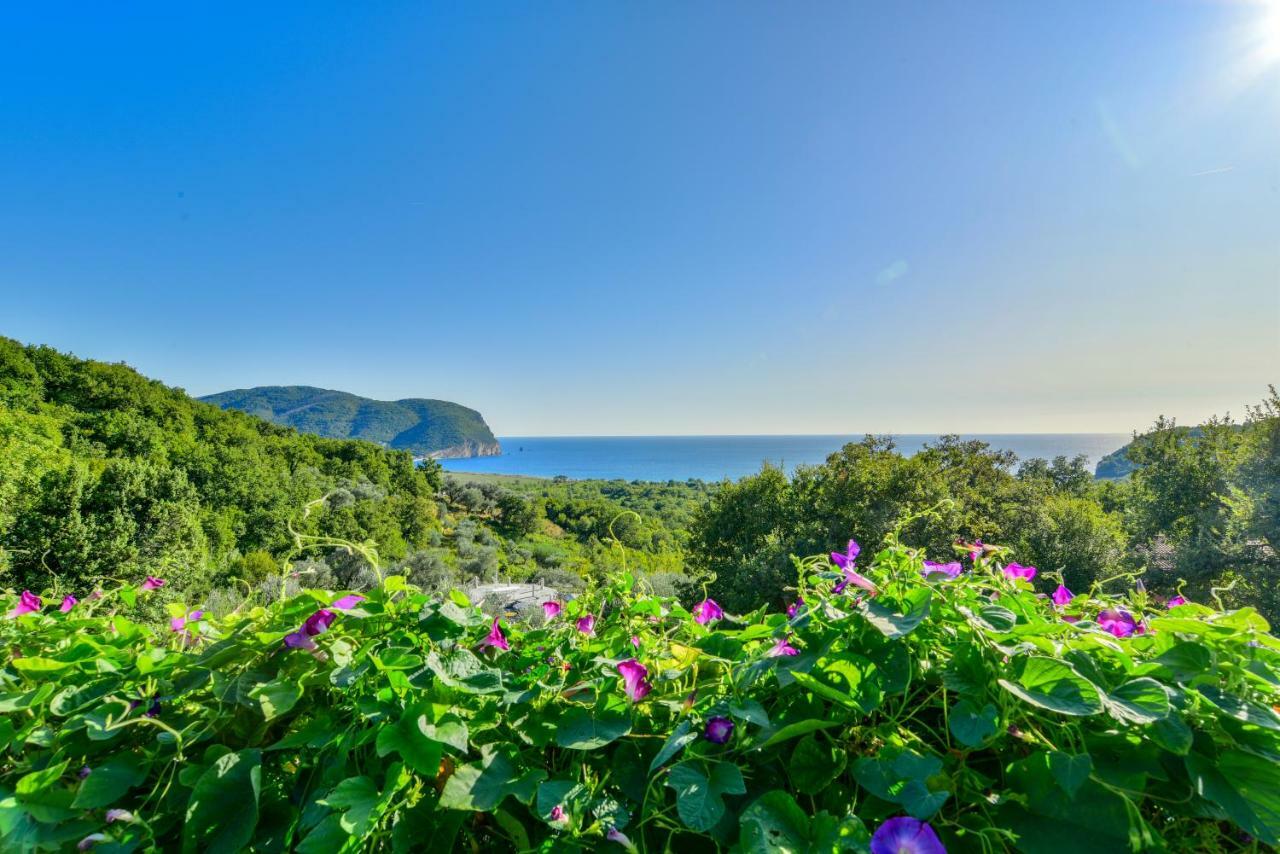 Petrovac Pataki Guesthouse מראה חיצוני תמונה